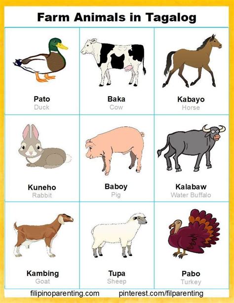 THEIR (Tagalog).